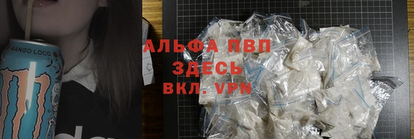 spice Бородино