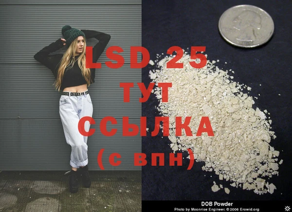 spice Бородино