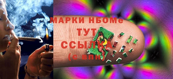 spice Бородино