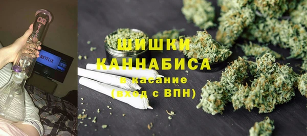 spice Бородино