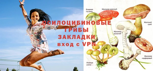 МДПВ Верхнеуральск