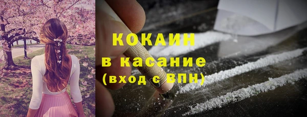 spice Бородино