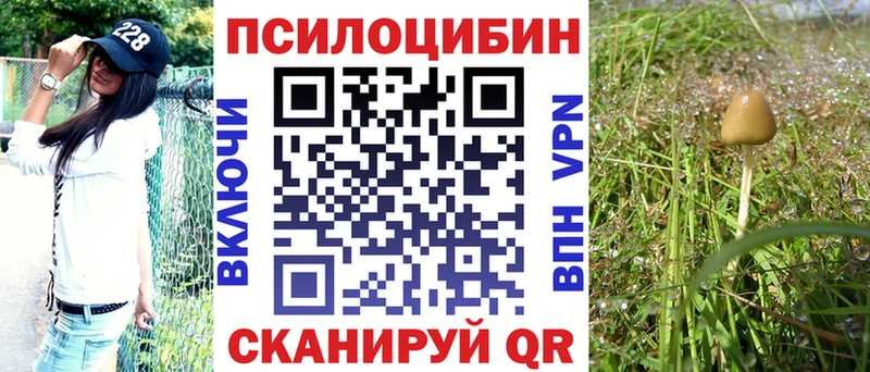 Псилоцибиновые грибы Cubensis  Купить  Новозыбков 